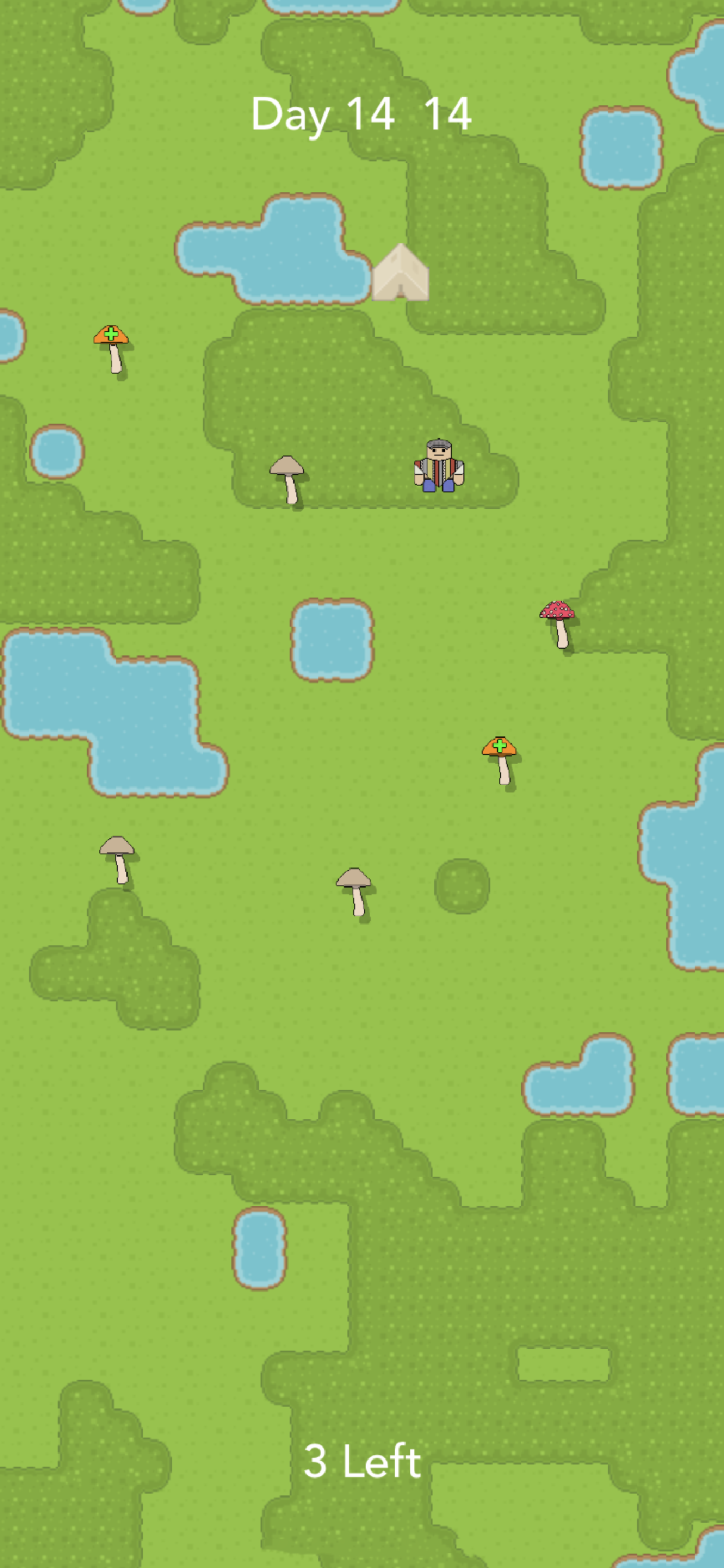 In-Game Preview